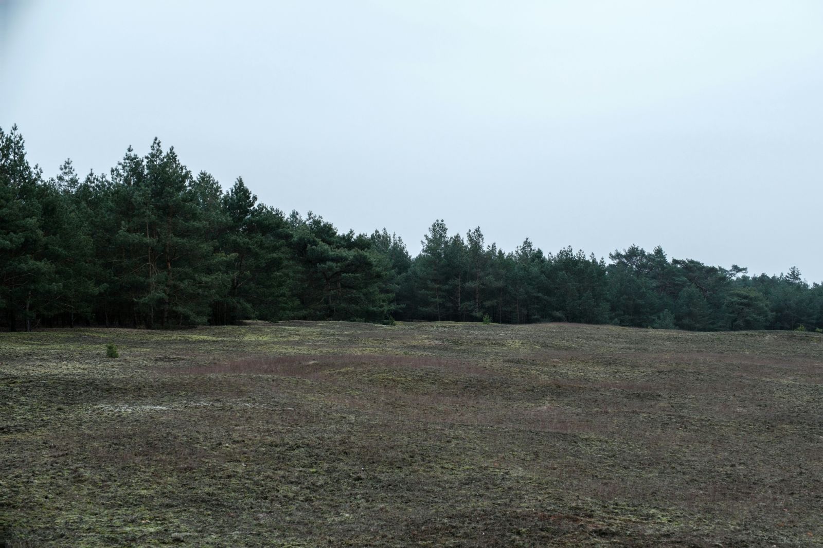 0 Cuttler Rd, New Caney