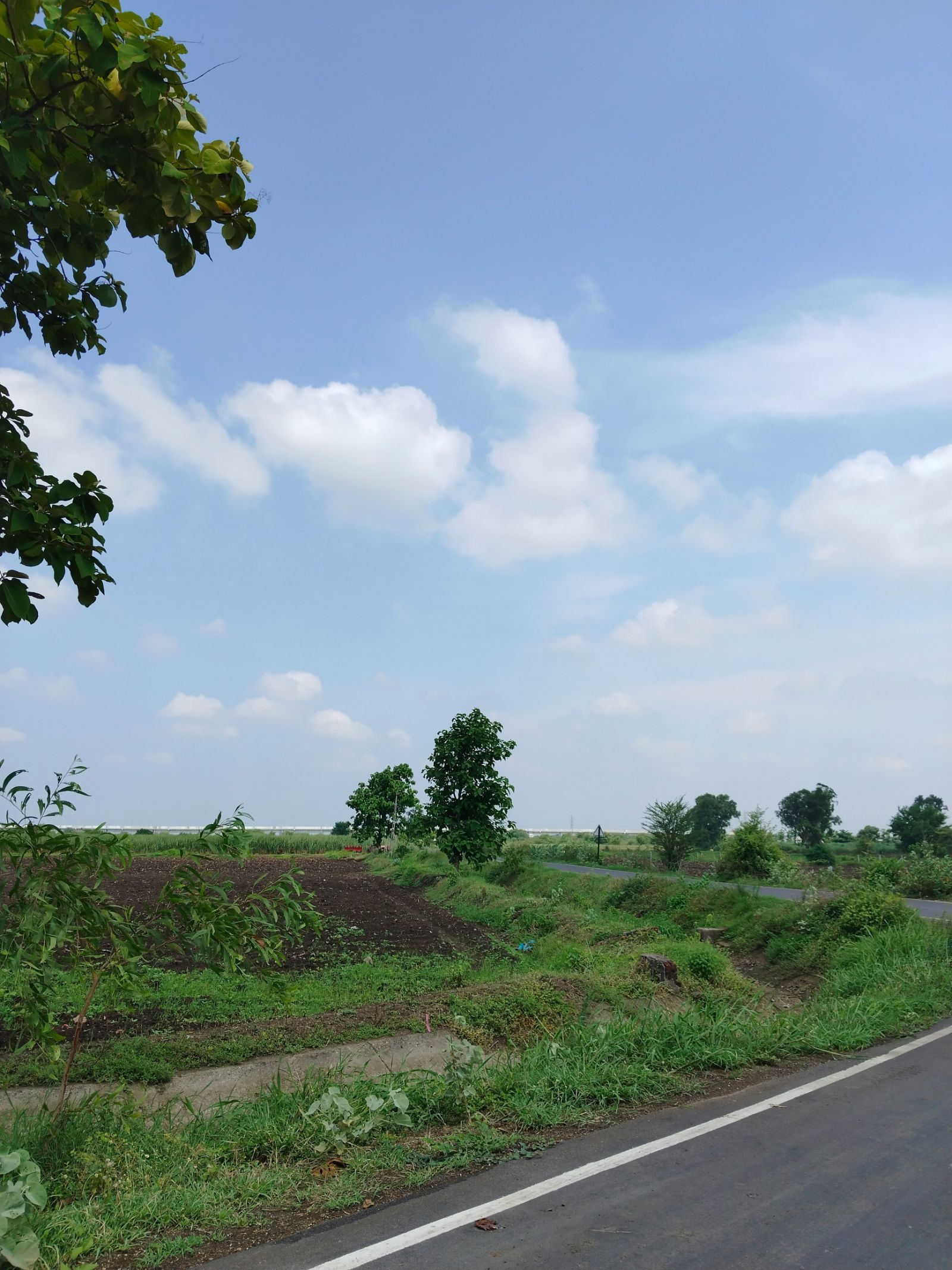 0 Tupelo St, New Orleans